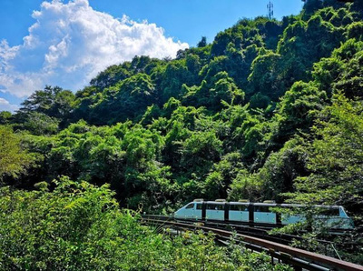 2.雪窦山景区最佳游览路线为:游人中心乘坐大巴车-三隐潭-幸福快车-索道-妙高台-千丈岩-雪窦.