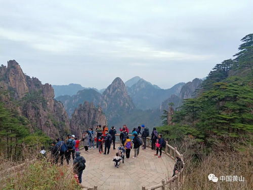 黄山风景区管委会 清明小长假第三天景区游览秩序井然