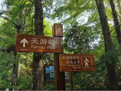 筑牢安全守护墙 确保游客安心春游 武夷山景区开展旅游安全排查专项整治春季行动