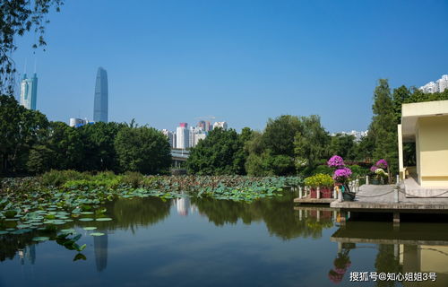 来深圳,去过这十个免费景点,才不会留下遗憾,有得和朋友吹吹水